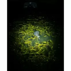 Lampe Frontale Nash Moonshine Micro Lite -Materiel Fox Magasin lampe frontale nash moonshine micro lite 5